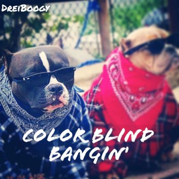 DreiBoogy Color Blind Bangin'