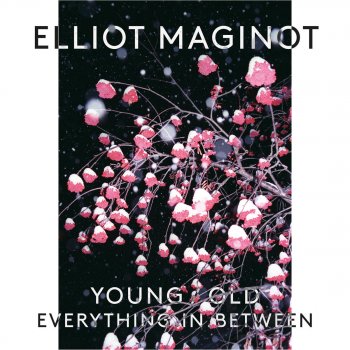 Elliot Maginot Still Alive