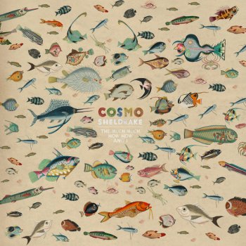 Cosmo Sheldrake Axolotl - Instrumental