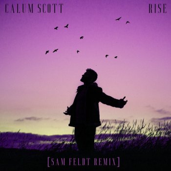 Calum Scott feat. Sam Feldt Rise (Sam Feldt Remix)