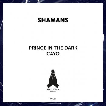 Shamans Prince in the Dark