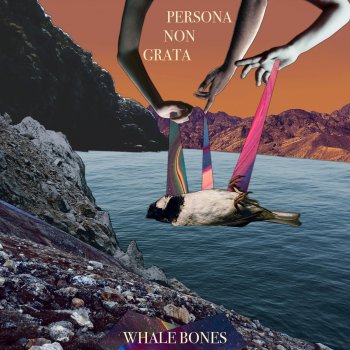 Whale Bones Persona Non Grata
