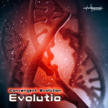 Convergent Evolution Human Evolution