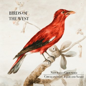Birds Of The West Naturally Grounded