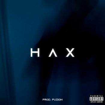 Puzion Hax