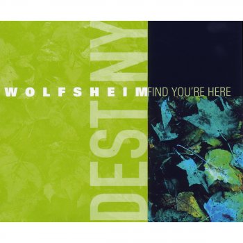 Wolfsheim Find You're Here (instrumental)