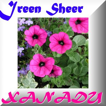 Ireen Sheer Xanadu