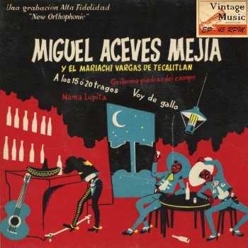 Miguel Aceves Mejia feat. Mariachi Vargas De Tecalitlan Grítenme Piedras Del Campo