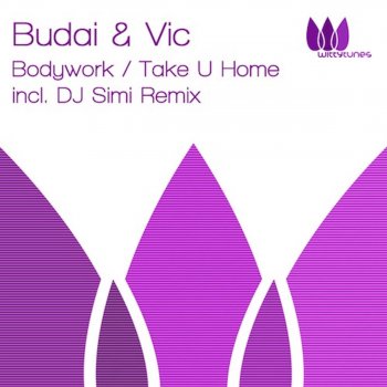 Budai & Vic Take u Home (DJ Simi Remix)