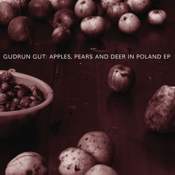 Gudrun Gut Apples and Pears - Instrumental Dub