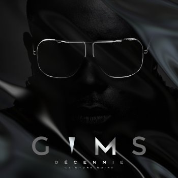 GIMS Miami Vice