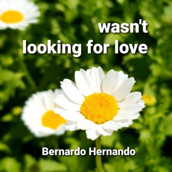 Bernardo Hernando Wasn't looking for love