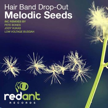 Hair Band Drop-Out feat. Zero The Hero Melodic Seeds - Zero the Hero's Dub Mix