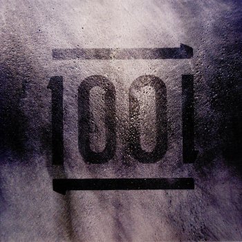 1001 1001