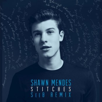 Shawn Mendes Stitches (Seeb Remix)