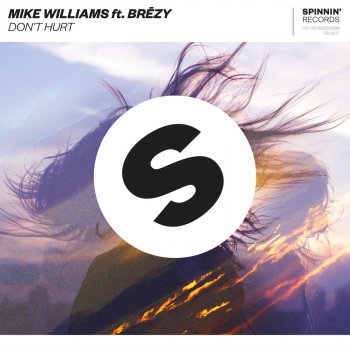 Mike Williams feat. Brezy Don't Hurt