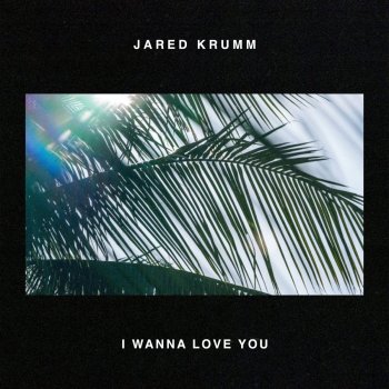 Jared Krumm I Wanna Love You