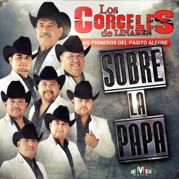 Los Corceles de Linares feat. Ángel Daniel Florecita de Hojasé (feat. Ángel Daniel)