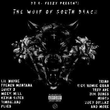 DJ E-Feezy feat. Lil Wayne What You Sayin