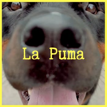 Yola La Puma