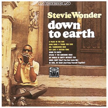 Stevie Wonder Mr. Tambourine Man