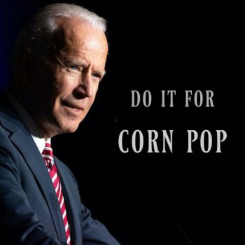 The Gregory Brothers Do It For Corn Pop