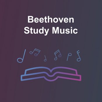 Ludwig van Beethoven feat. Concertgebouworkest & Bernard Haitink Symphony No.7 in A, Op.92: 2. Allegretto
