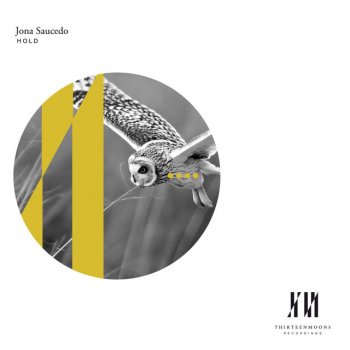 Jona Saucedo Hold - Original Mix