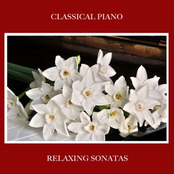Piano Pianissimo feat. Classical Study Music & Relaxing Piano Music Universe Beethoven's Sonata No 11 in B Flat Major Op 22 I Allegro con Brio