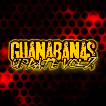 Guanabanas feat. Mojica el Bin Laden Desahogo de Amor