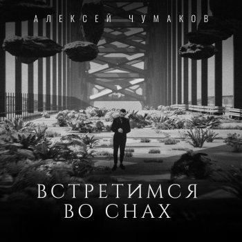 Алексей Чумаков Встретимся во снах (Karaoke Version)