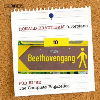 Beethoven; Ronald Brautigam Andante in C Major