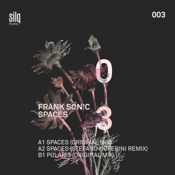 Frank Sonic Spaces
