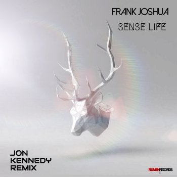 Frank Joshua Sense Life (Instrumental)