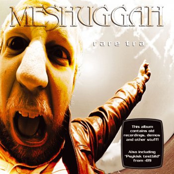 Meshuggah Abnegating Cecity (2001)