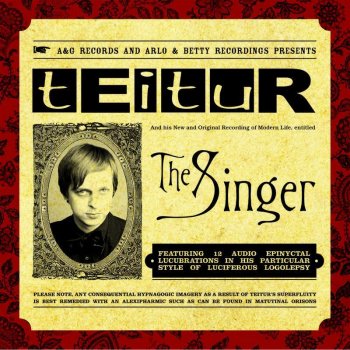 Teitur The Singer