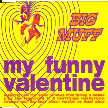 Big Muff My Funny Valentine - Matthias Heilbronn's Percussion Dub