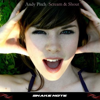 Andy Pitch Scream & Shout (Andy Pitch Remix)
