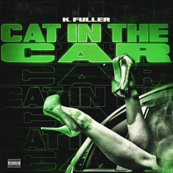 K. Fuller Cat In the Car