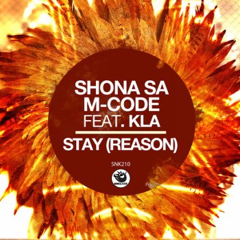Shona SA feat. M-Code & Kla Stay (Reason)