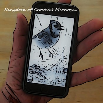 Waters Kingdom of Crooked Mirrors