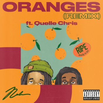 Nolan The Ninja feat. Quelle Chris Oranges - Remix