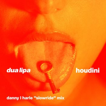 Dua Lipa feat. Danny L Harle Houdini - Danny L Harle Slowride Mix