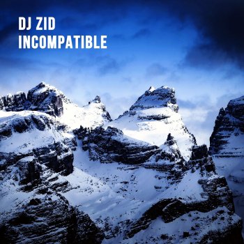 DJ ZID Incompatible