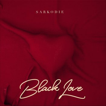  feat. Sarkodie Party & B******t (feat. Donae'o & Idris Elba)