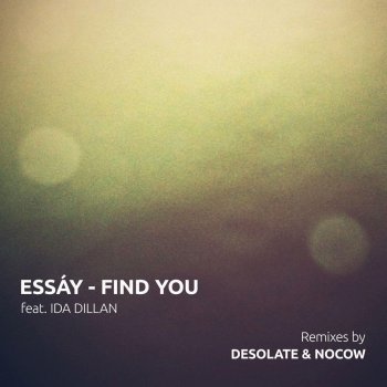 Essay Find You (Desolate's Get Together Mix)