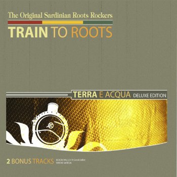 Train to Roots Do you know?