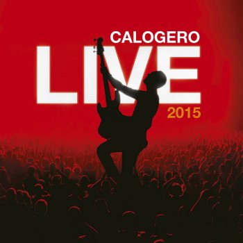Calogero Face à la mer - Live Bruxelles, Belgique / 2015