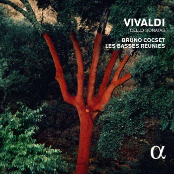 Antonio Vivaldi, Bruno Cocset & Les Basses Réunies Cello Sonata in A Minor, RV 44: II. Allegro poco