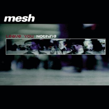 Mesh Leave You Nothing - Radio Edit